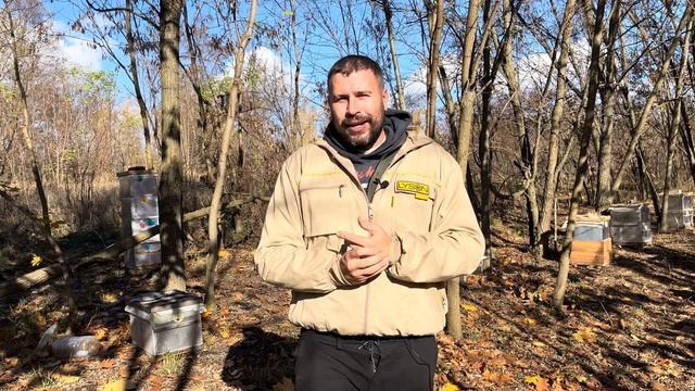 Пакеты и пчеломатки