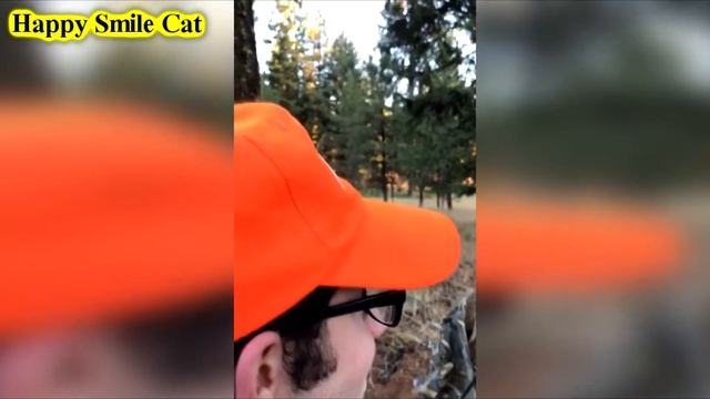 ПРИКОЛЫ Happy Smile Cat #55 ЛУЧШИЕ ПРИКОЛЫ 2017 ОКТЯБРЬ Лучшая Подборка Приколов смотреть онлайн