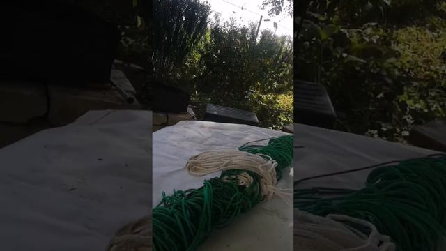 очень хочется верить в это оружие