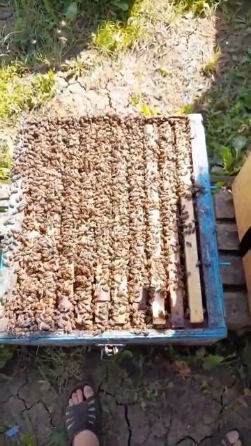 22 июня 2023 г. смотреть онлайн