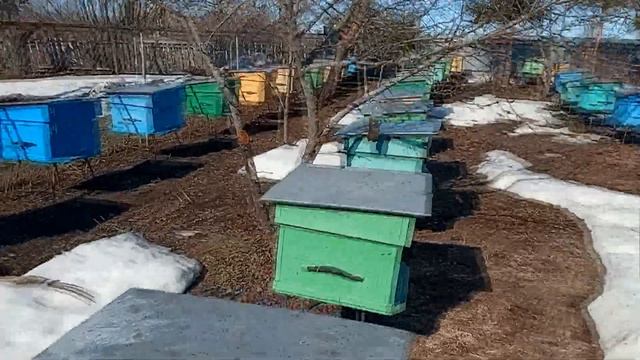 Облёты начинаются!