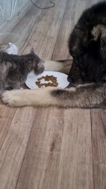 2 января 2023 г.