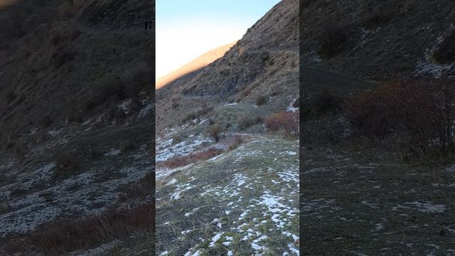 Гдынк 13 ноябрь 2022 г