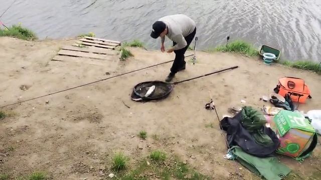 Осетр смотреть онлайн