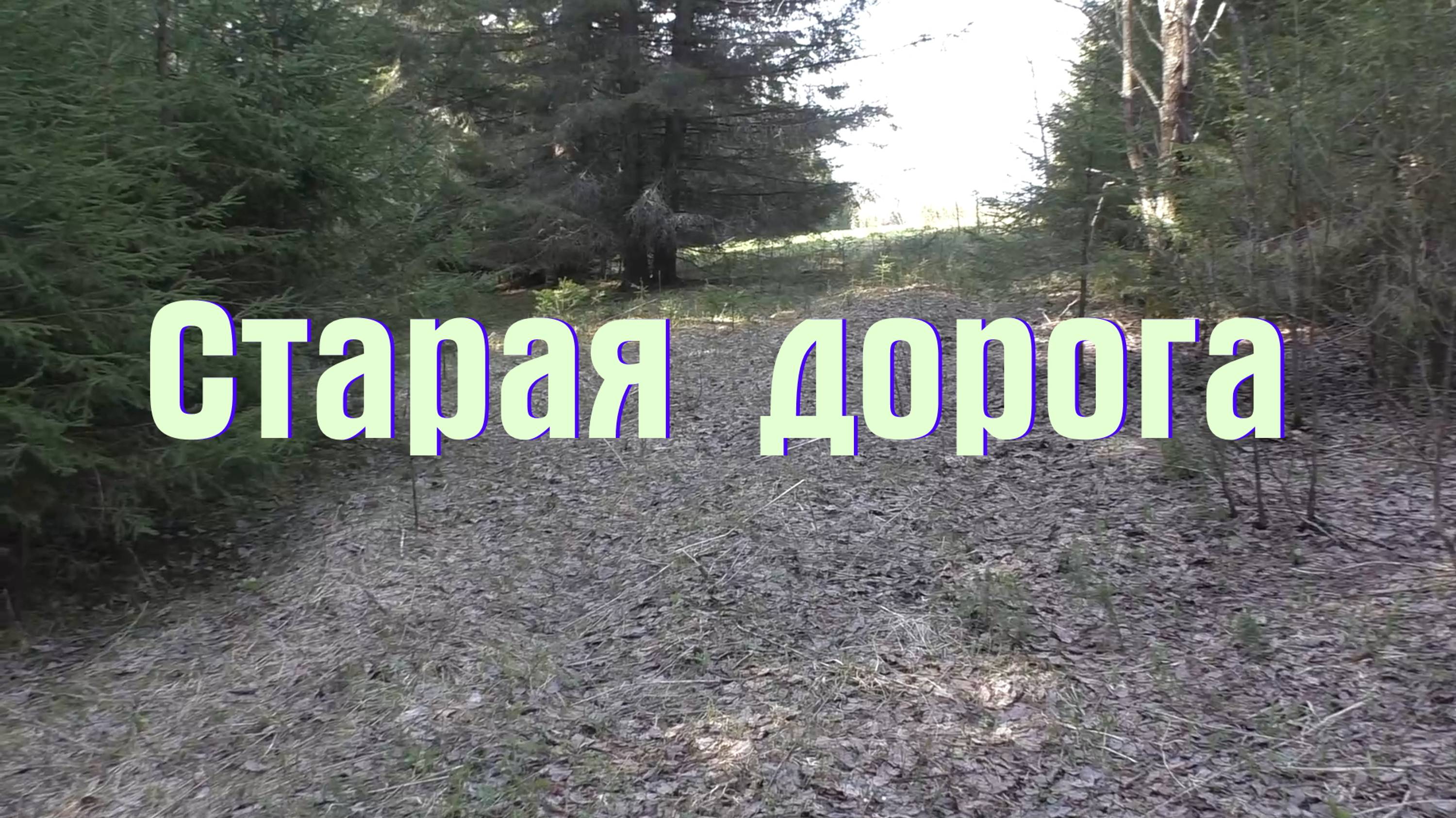 Старая дорога