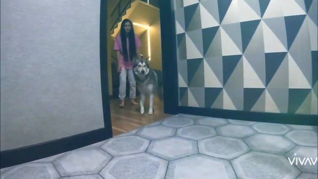 хасмут Мишаня,Майк,Роки,Лекси. ЭДИТ,ДЛЯ ЛЕКСИКА НА КО смотреть онлайн