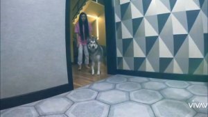 хасмут Мишаня,Майк,Роки,Лекси.    ЭДИТ,ДЛЯ ЛЕКСИКА НА КО