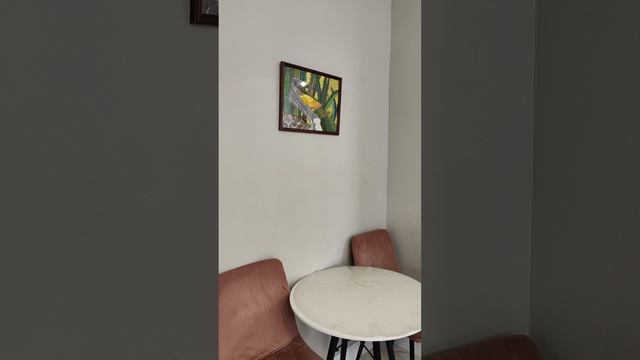 petal_20250510_173728.mp4