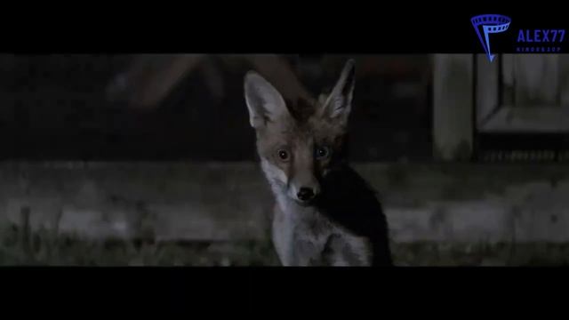 Обзор на Вивариум | обзор на фантастическую драму смотреть онлайн