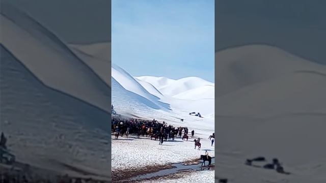 8 февраля 2017 г.