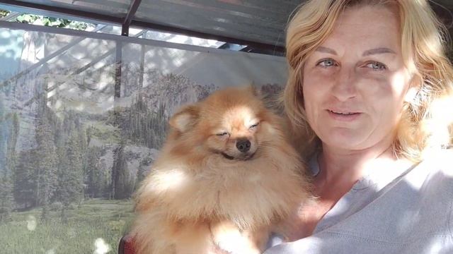 В добрый путь,лёгкой дорожки тебе мой милый 🫶#жофрейновыйдом#