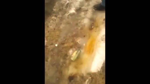 Лучшие приколы!!! Топ смешных видео !18+ смотреть онлайн