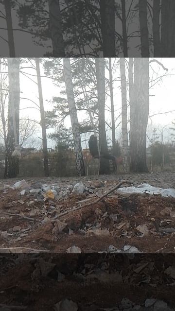 ускоренные качели