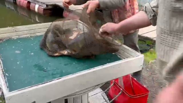 16.05.25 г. РК Волна смотреть онлайн