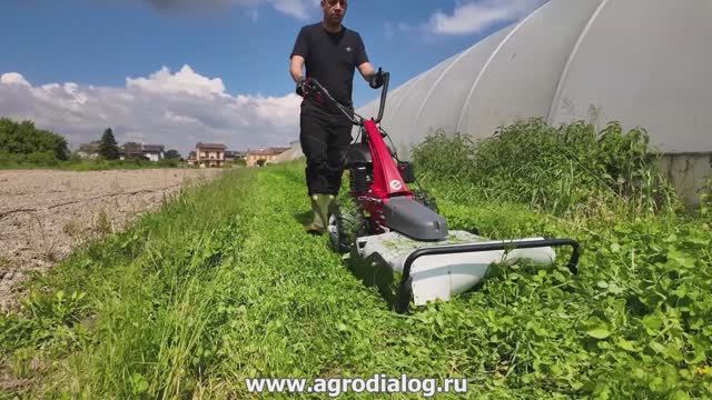 Косилка для высокой травы Eurosystems MINIEFFE смотреть онлайн
