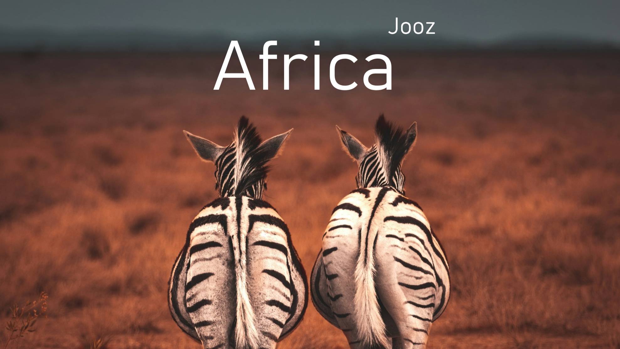Jooz - Africa