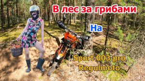 Поездка на эндуро мотоцикле regulmoto sport 003 pro 300 за грибами в лес в жару