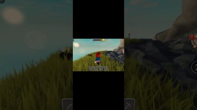 Покупаем по-испански!