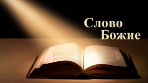 Палач своей плоти..