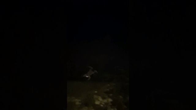 Про лягушек