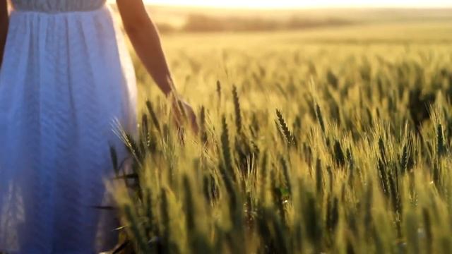 Анна Безрукова 