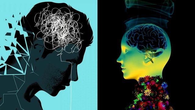 Как зарождалась психика человека? смотреть онлайн