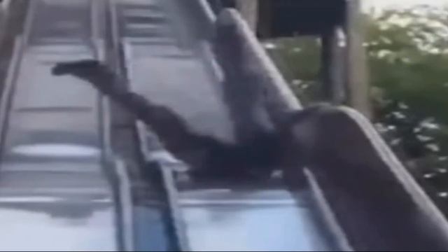 Тест на шизу уровень: бесконечность смотреть онлайн