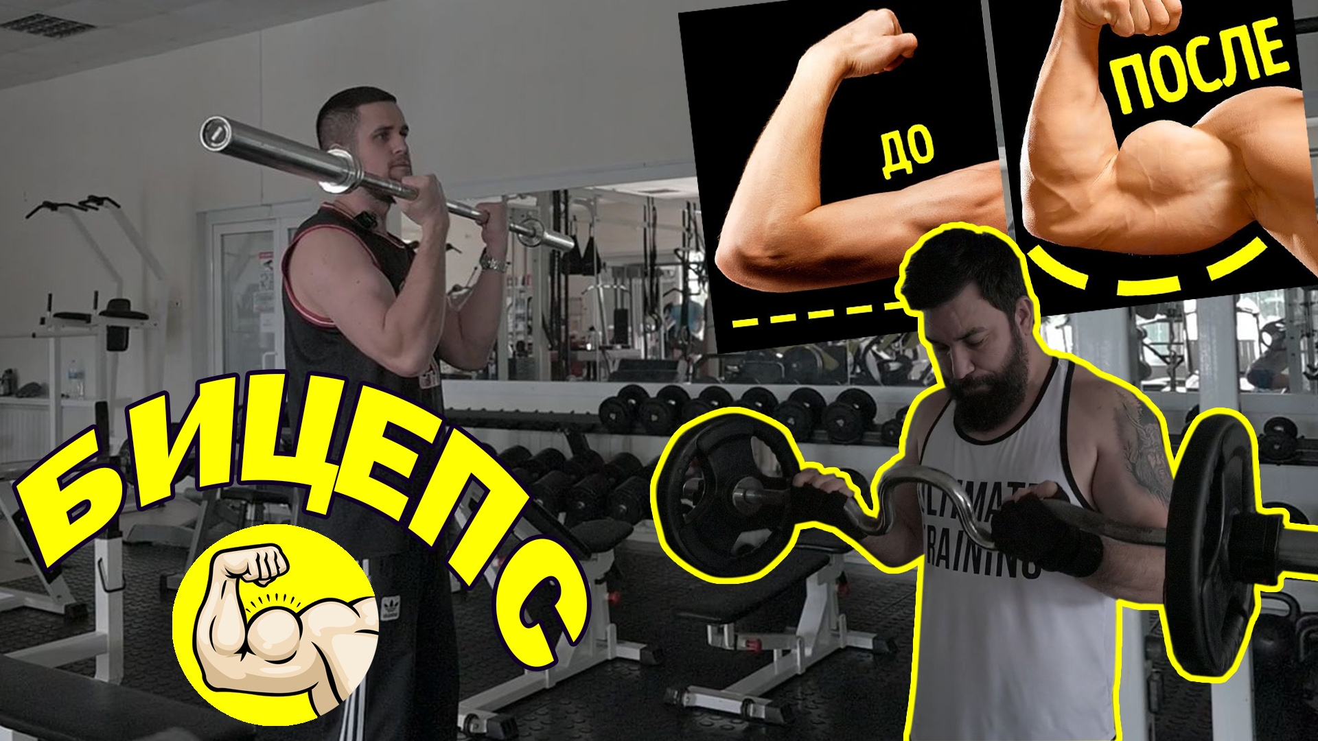 Бицепс как правильно выполнять! смотреть онлайн