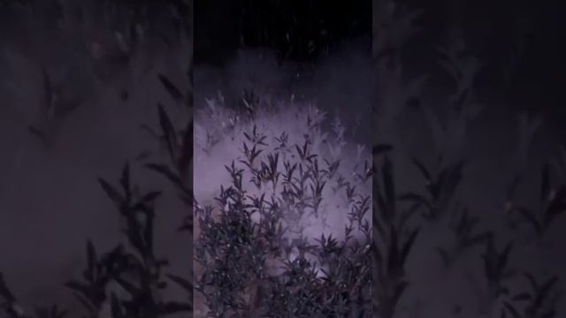 Діло було в 41-му році. Foxhole #shorts #foxhole #memes #meme смотреть онлайн