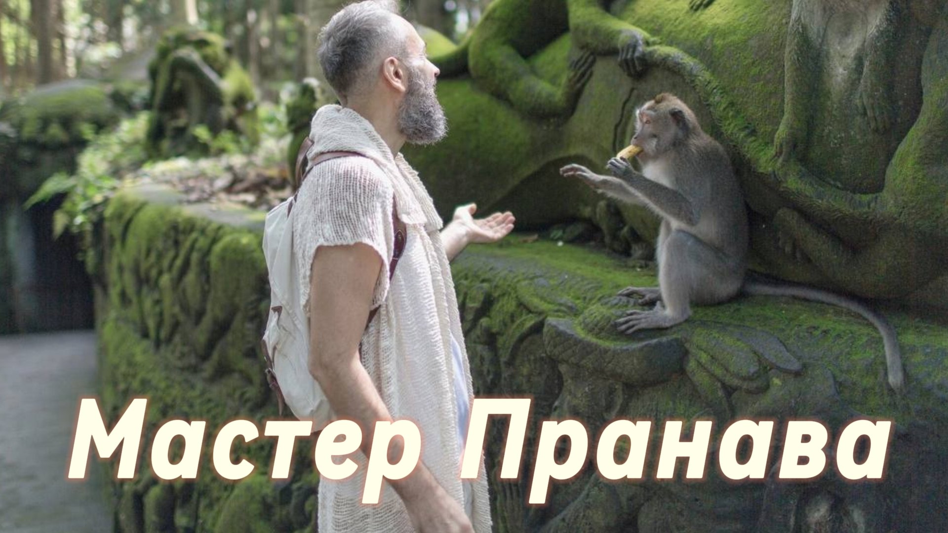 Сатсанг ответы на вопросы, Сборник 73. Мастер Пранава смотреть онлайн