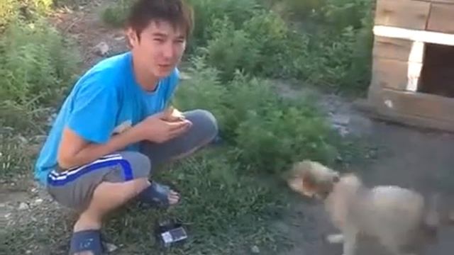 ответ хозяину кота лизуна из  100500