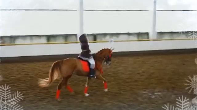 КЮР "Лучистая Эскимоска" смотреть онлайн