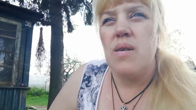ВНИМАНИЕ! Наступило тепло   как сберечь питомца от теплового и солнечного удара.