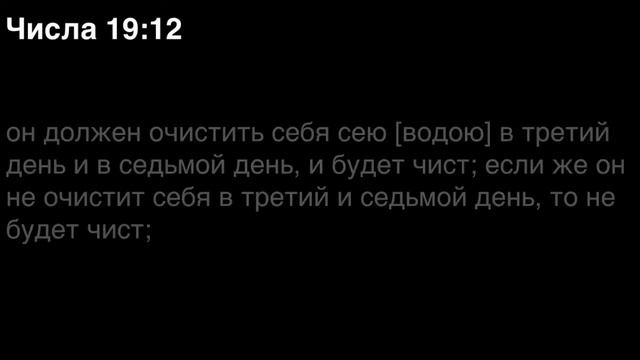 Числа, глава 19 смотреть онлайн