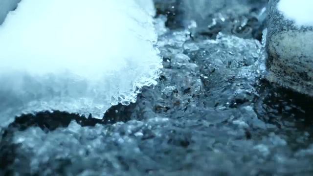 EVP Конжак 2011