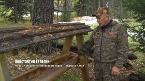 «Наши»: один день из жизни егеря