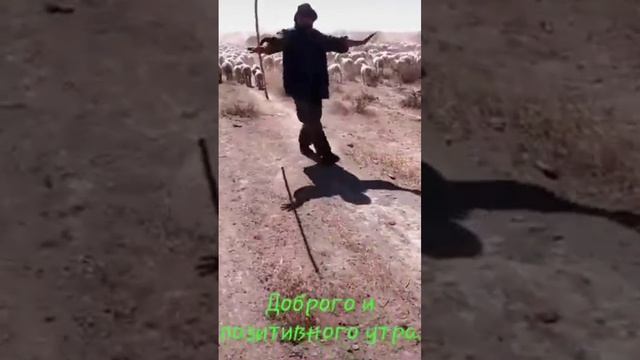 Красивая Азербайджанская песня смотреть онлайн