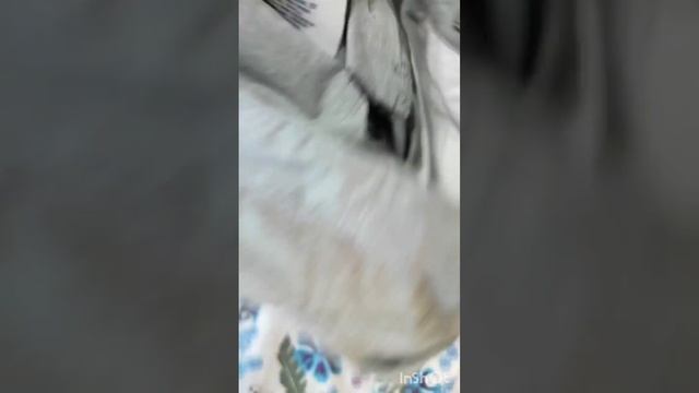 пакет одежды на мальчика 12-14 лет смотреть онлайн