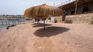 Sharks Bay 2025 – ТОП пляж Шарм-эль-Шейха! Где АКУЛЫ? ОБЗОР, це