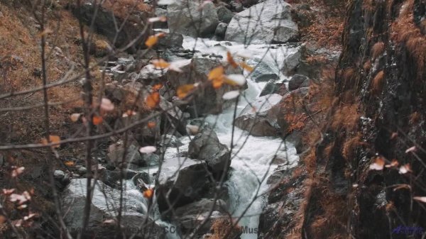 Трек переносит туда, куда самолёты не долетают - Catch and Release -- Satellite State -- Collective