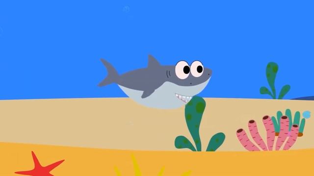 Акуленок 1 час