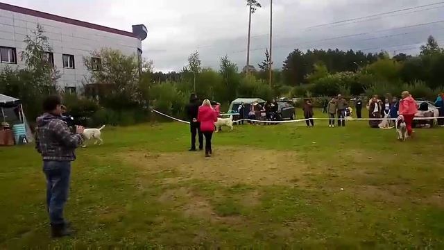 Олимпик Стар Одина отл. САС . ЛК . КЧФ . ВОВ . БЭСТ Гордость России 1 место. БЭСТ Групп 3 место смотреть онлайн