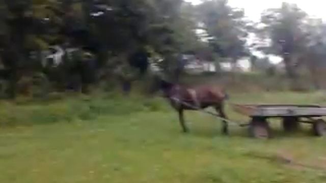 Сальто 007 перелом руки