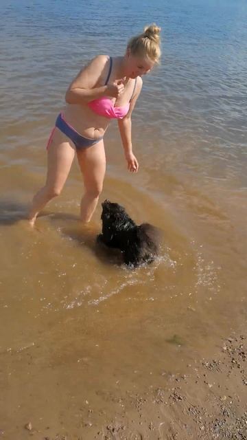 Черный шпиц игрун смотреть онлайн