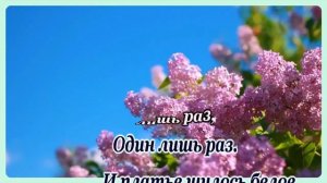 Анна Герман -Сады цветут -караоке