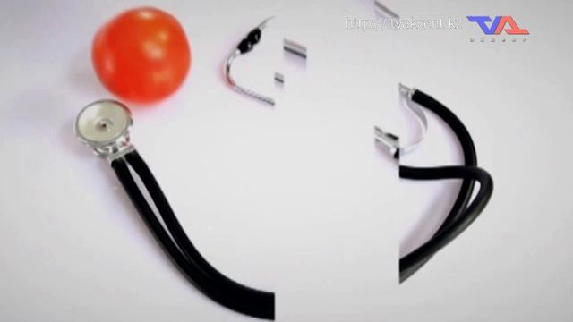 Выпуск программы “День” от 19 июля 2024г. смотреть онлайн