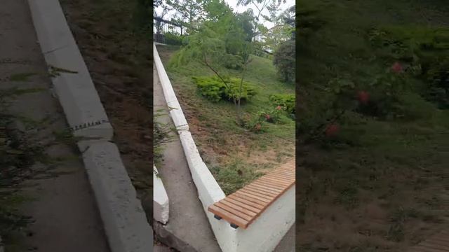 Морская звезда ч.5