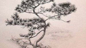 ВЛАДИМИР  МЕГРЕ  "ЗВЕНЯЩИЕ КЕДРЫ РОССИИ"