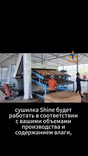 Shine Machinery#деревообрабатывающие #Сушилкадлядревесного? смотреть онлайн