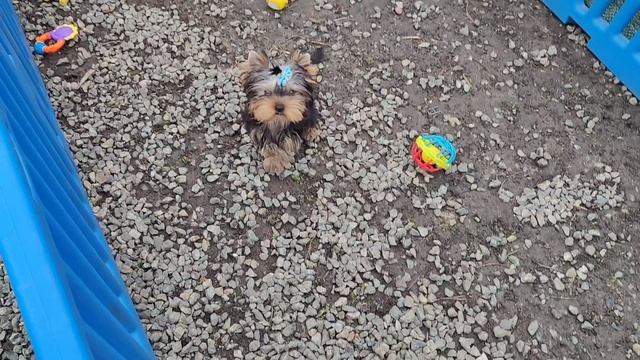 1000068274.mp4 смотреть онлайн